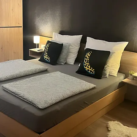 Kevin 佐洛卡罗斯